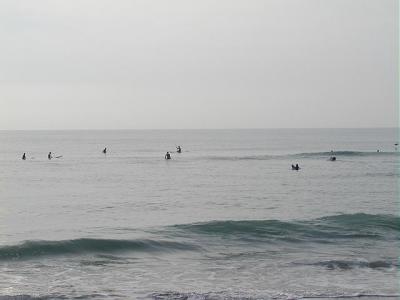 P1010021 2.JPG