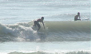 P1010012 2.JPG
