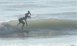 P1010013 2.JPG
