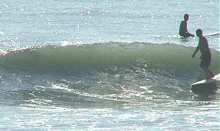 P1010053 2.JPG