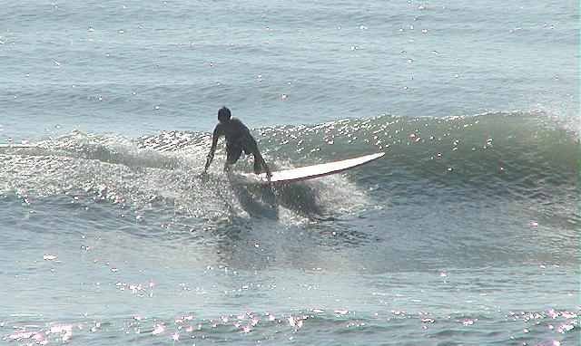 P1010057 2.JPG