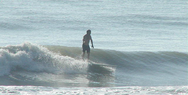 P1010007 3.JPG