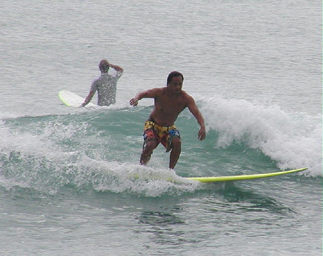 P1010031 2.JPG