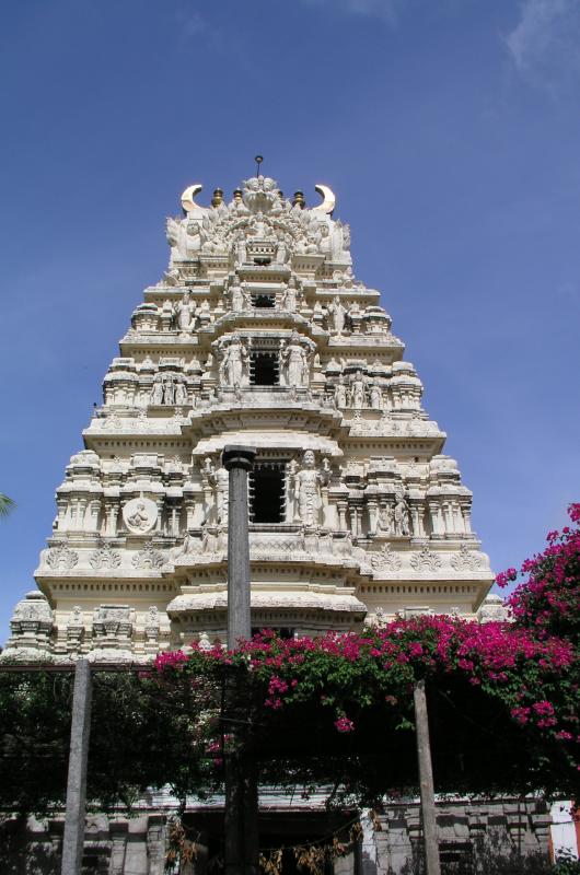 dodda mallur