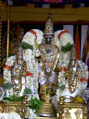 6-Parthasarathi after soornAbhishekam