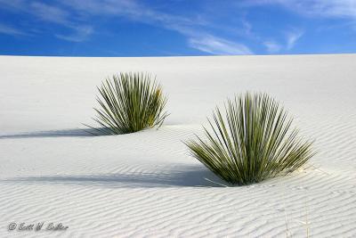 White Sands National Monument