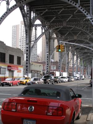 Upper Manhattan Mustang