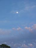 S.G.I.PYE-Cottage-pbase0056.JPG
