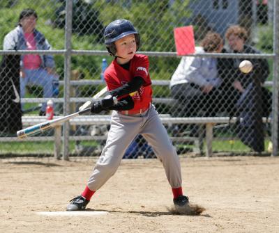 u26/taves/medium/43575044._MG_2618.jpg