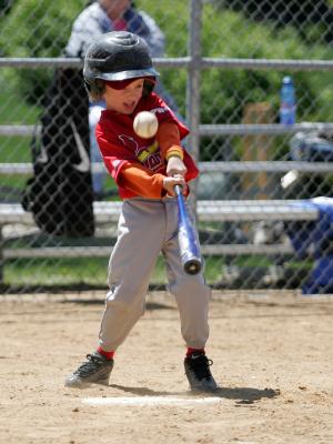 u26/taves/medium/43576814._MG_2638.jpg