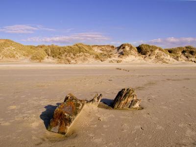 u26/tcnunan/medium/43744341.beach_wood.jpg