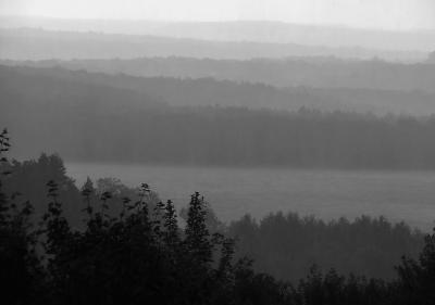 Rain and mist, July 2001