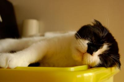DSC_1612s.jpg