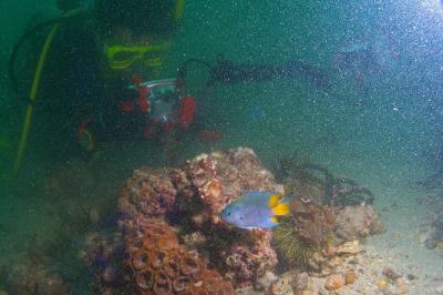 P5290157s.jpg