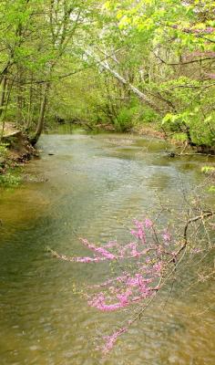 looking downstream