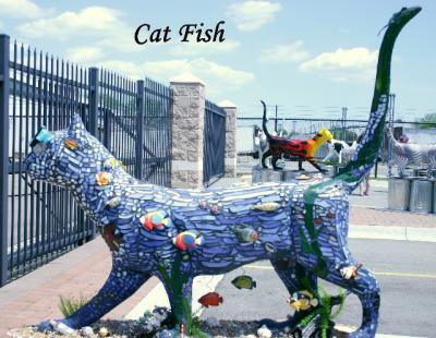Cat_Fish2L.jpg