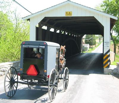 Covered Bridge Amish Buggy