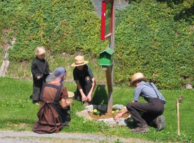 Amish Planting Flowers