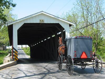Covered Bridge Amish Buggy 2