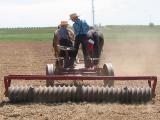 Amish Boys Field Work