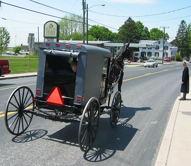 Buggy 2