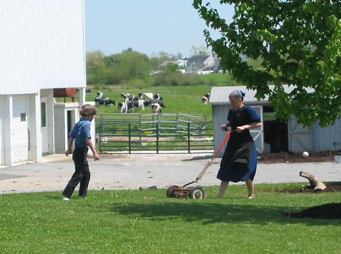 Amish Kids Mowing