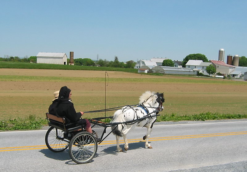 Amish Cart