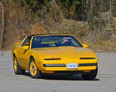u26/thecameraguy/medium/43617950.Firebird02fixed.jpg