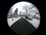 Winter-street