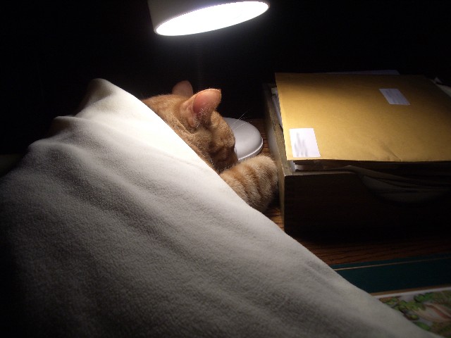 Cat Under a Hot Tin Lamp