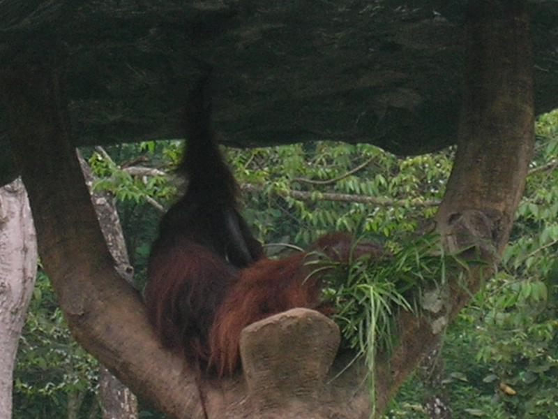 DSCN0083.JPG