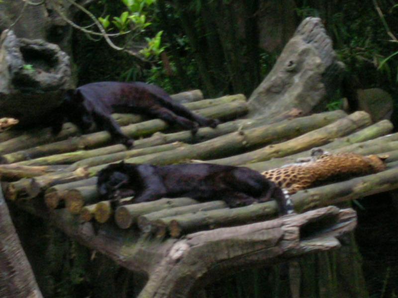 RSCN0155.JPG