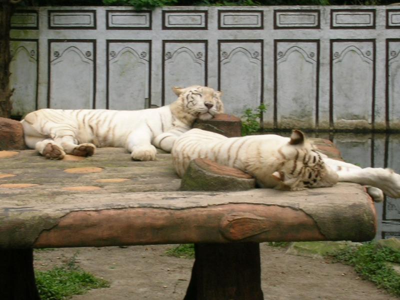 RSCN0158.JPG