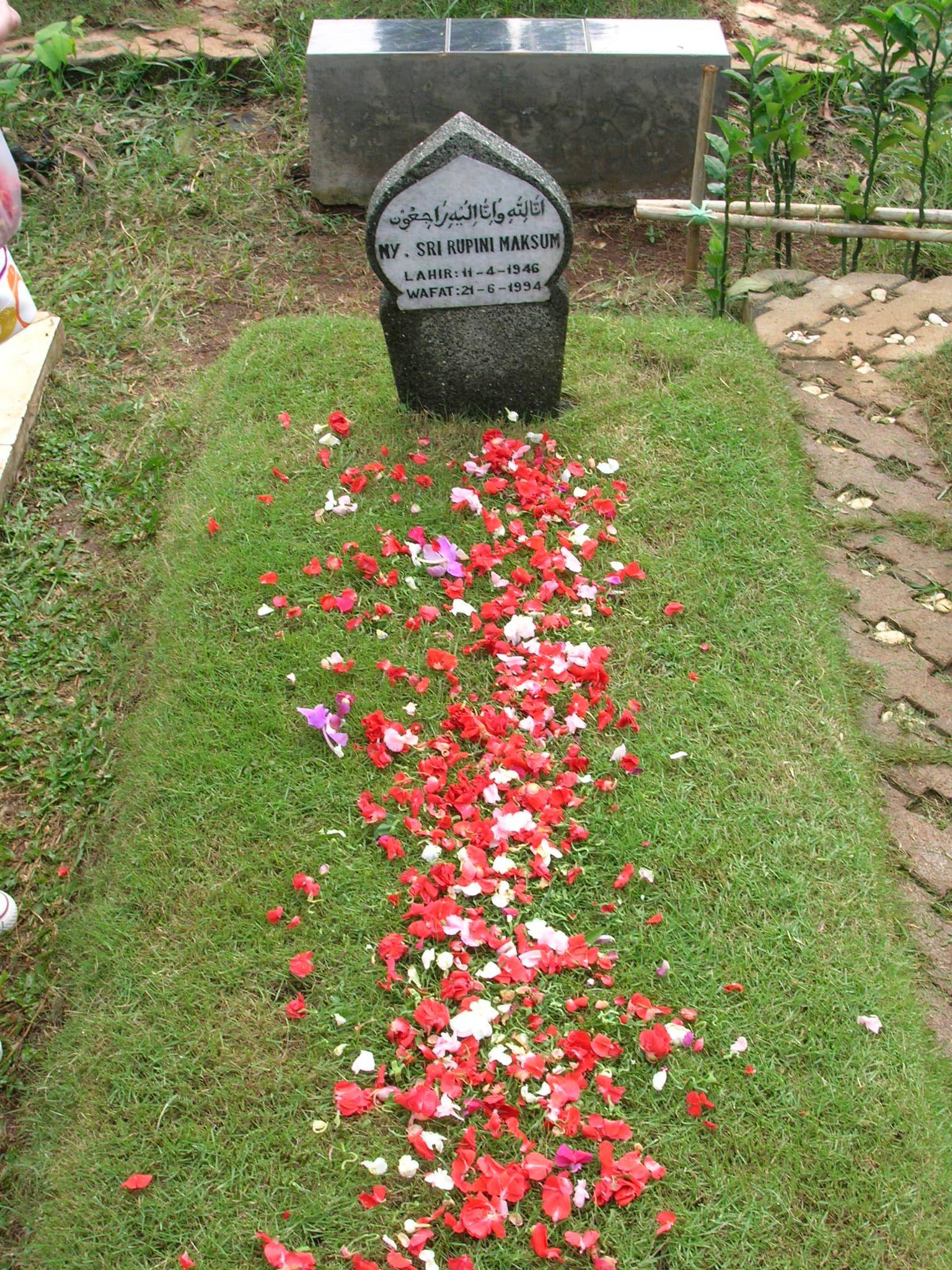 DSCN0046.JPG