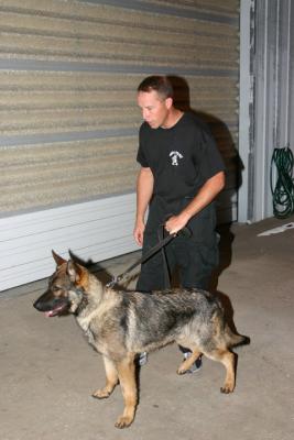 Tampa Police K-9 Balto