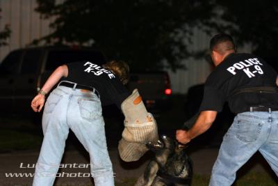 Tampa Police K-9 Riggs