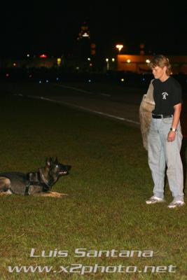 Tampa Police K-9 Riggs