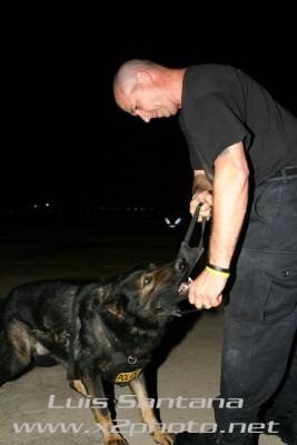 TPD K-9 Hunter