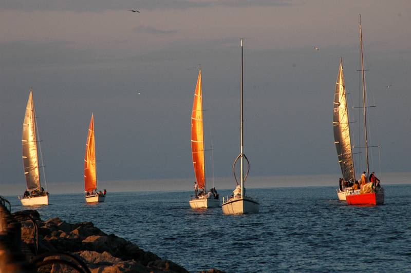 5 sailboats