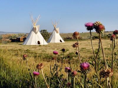 Tepees at the Museum of the American West