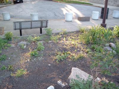 sidewalk as seen from the garden