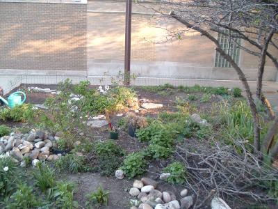 my garden from the side