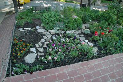 new plantings