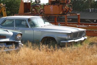 1964 Chrysler New Yorker, in 23 years of weeds, right 1/4