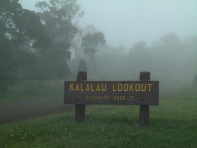 The end of the drive at the top of Waimea Canyon