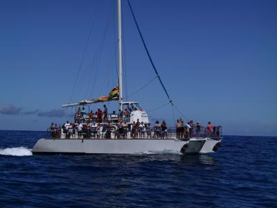 Another tour boat