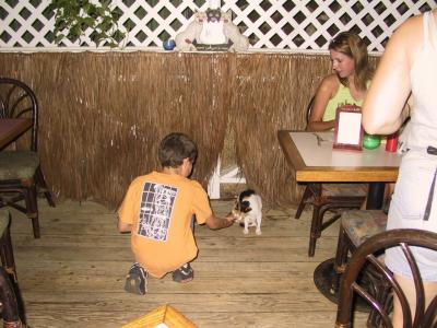 Mike feeds Sam the cat at TomKats, a restaurant in Old Koloa Town, Kauai