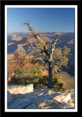Taken just west of Mather Point in the early morning along the south rim of the Grand Canyon.