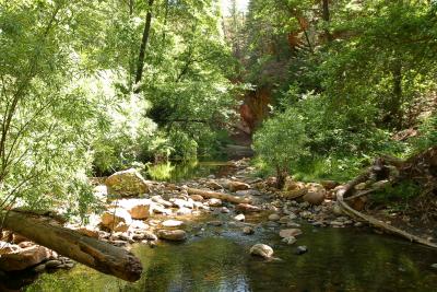 The beautiful Oak Creek along West Fork Trail in northern Sedona, Arizona. In July the creek is flowing minimally. The temperature on the day this was taken was 105 F. Record breaking for this area.