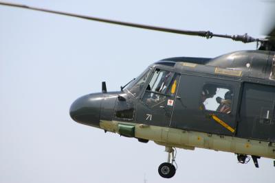 26_lynx_land.jpg